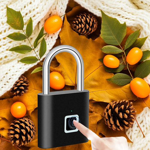 Fingerprint Padlock Rechargeable Keyless Anti-theft Security Smart Door Lock-1 Piece ( Random Colour)